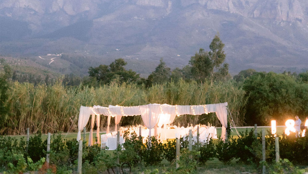 Blue Olive Events - Wedding Planners Cape Town