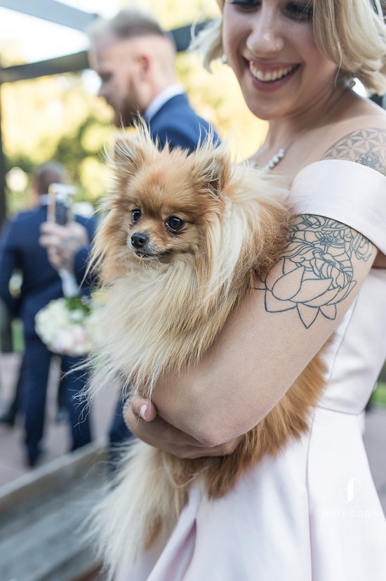 Dogs at a Wedding by ZaraZoo Photography