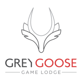 Grey Goose Game Lodge